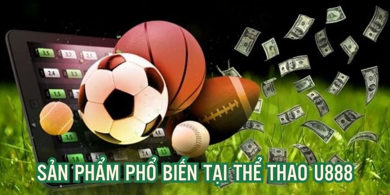 Làm quen cùng sảnh thể thao trên nền tảng u888